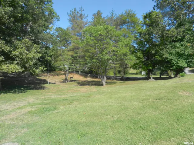 $79,900 | 316 Williams Street, Rosiclare, IL 62982