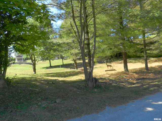 $79,900 | 316 Williams Street, Rosiclare, IL 62982