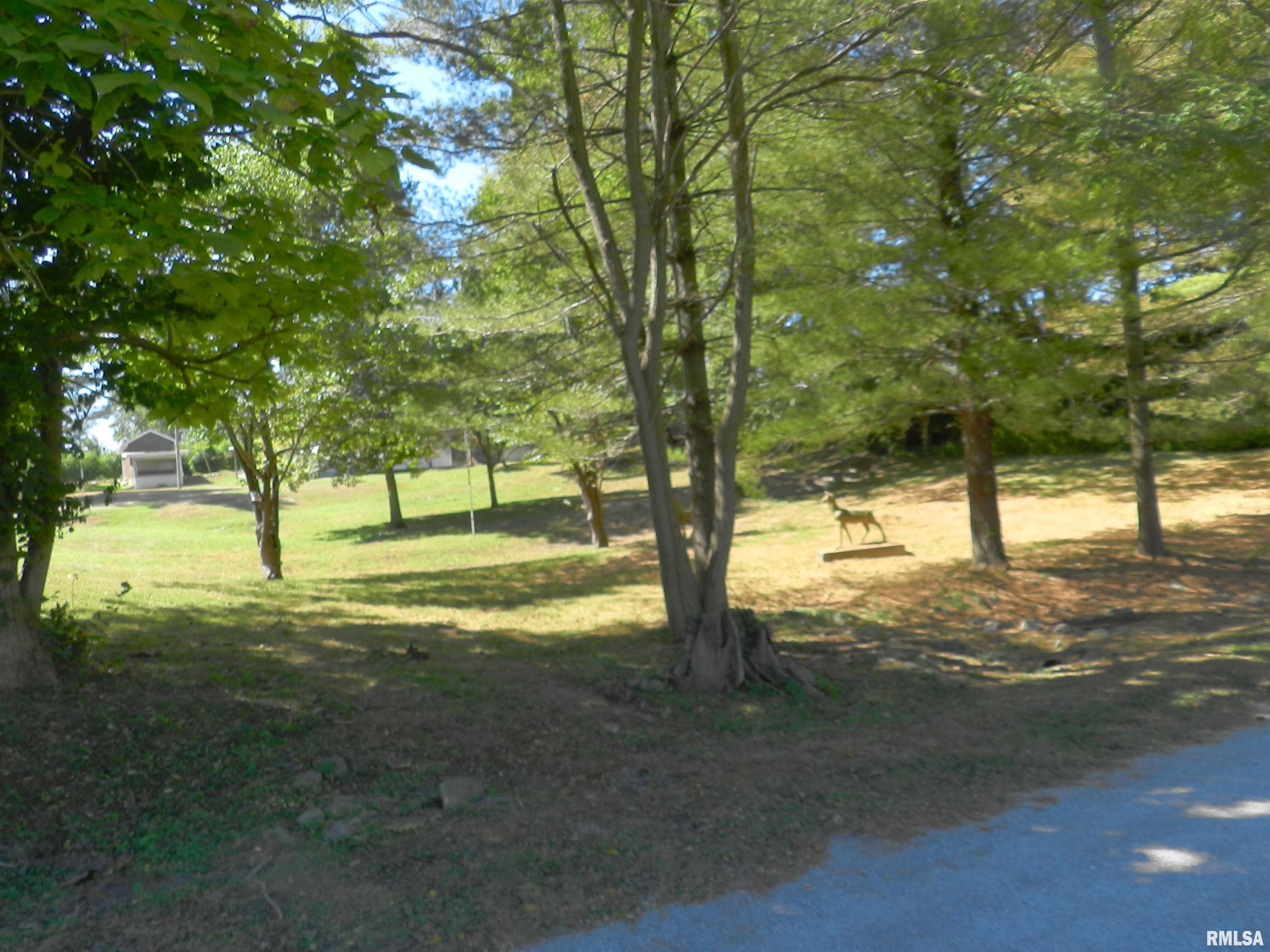 316 Williams Street Rosiclare, IL 62982 - Photo 39 of 42