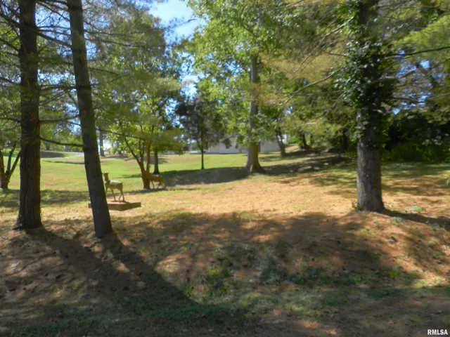 $79,900 | 316 Williams Street, Rosiclare, IL 62982