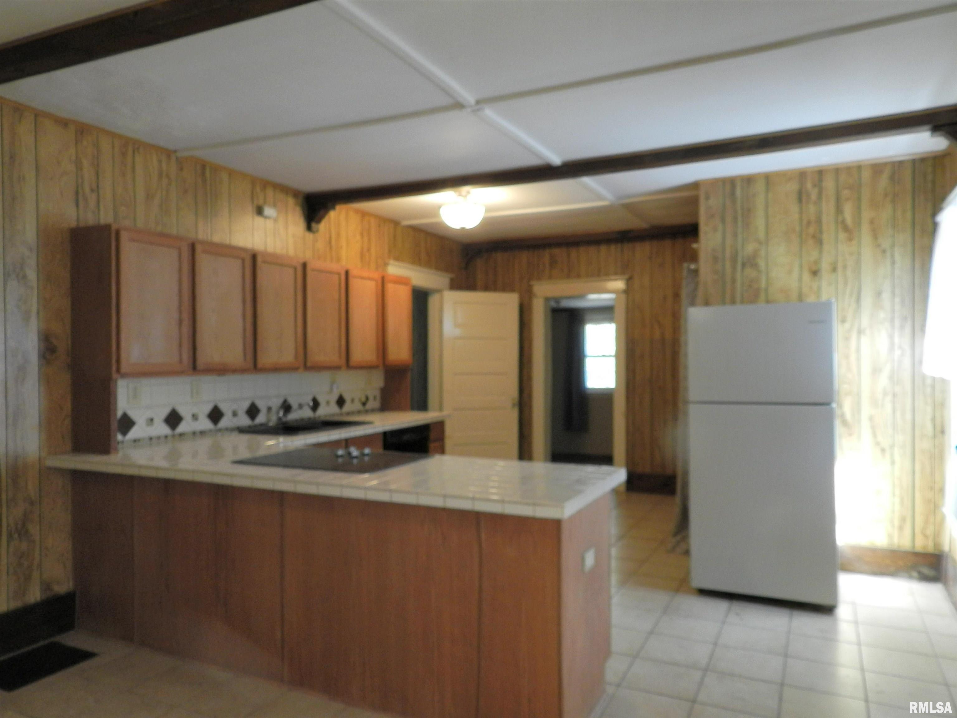 316 Williams Street Rosiclare, IL 62982 - Photo 8 of 42