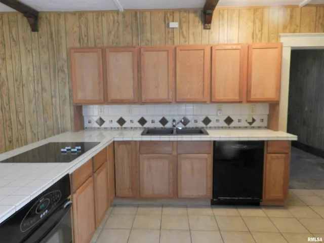 $79,900 | 316 Williams Street, Rosiclare, IL 62982