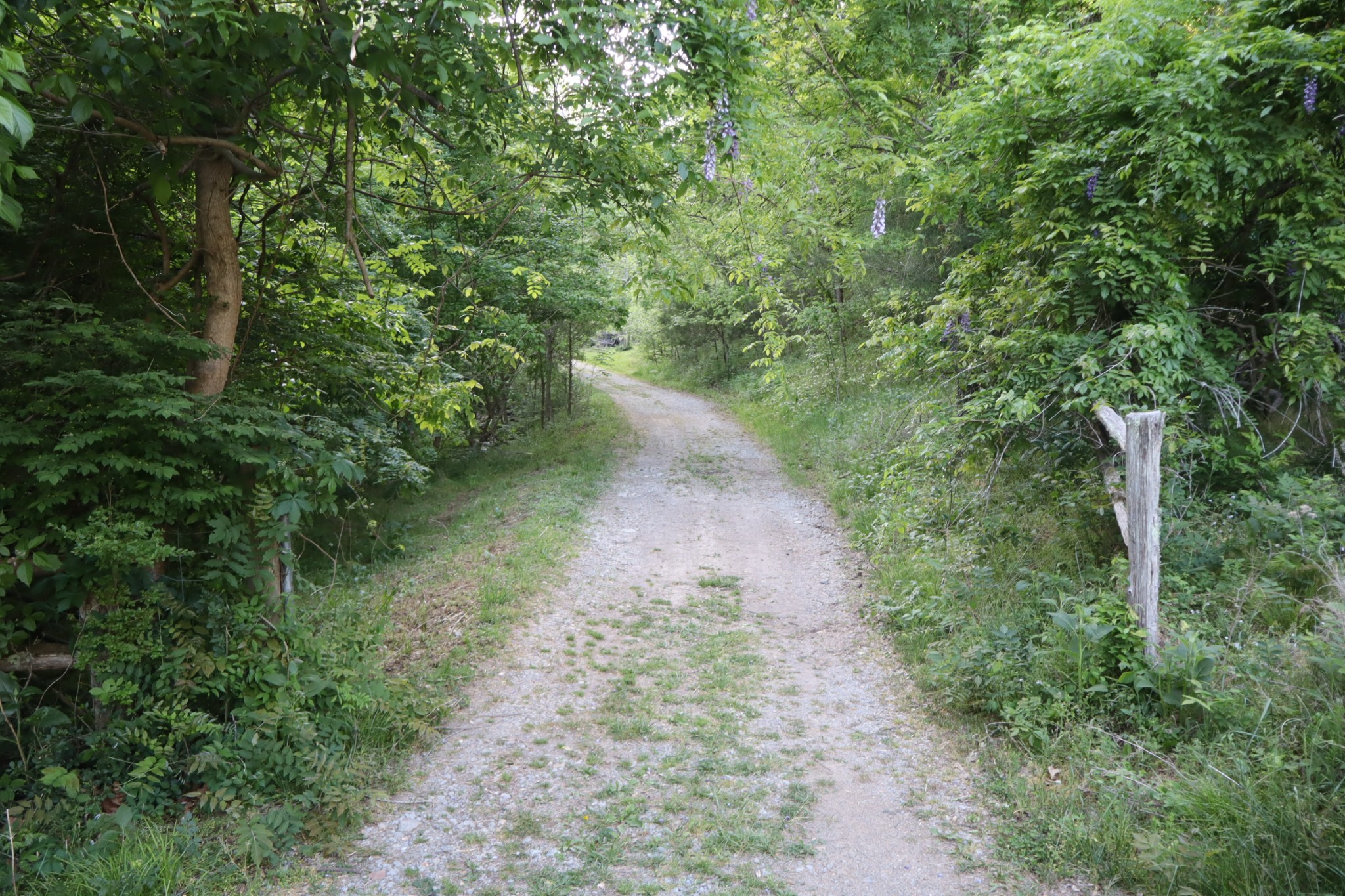 341 Pumpkin Hollow Road Liberty, TN 37095 - Photo 42 of 59