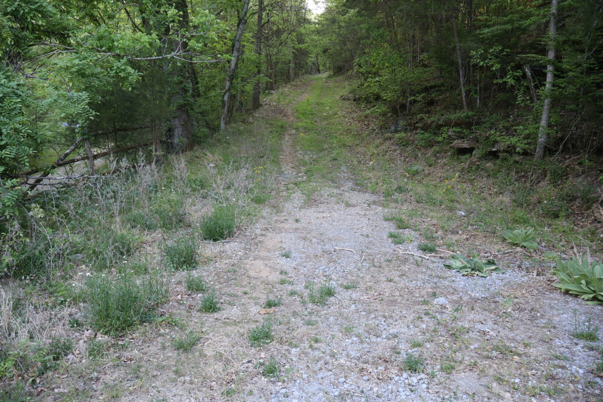 341 Pumpkin Hollow Road Liberty, TN 37095 - Photo 55 of 59