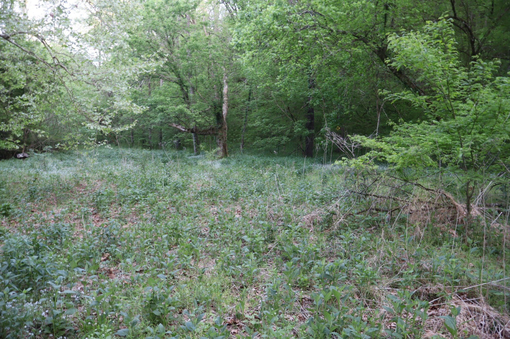 341 Pumpkin Hollow Road Liberty, TN 37095 - Photo 57 of 59