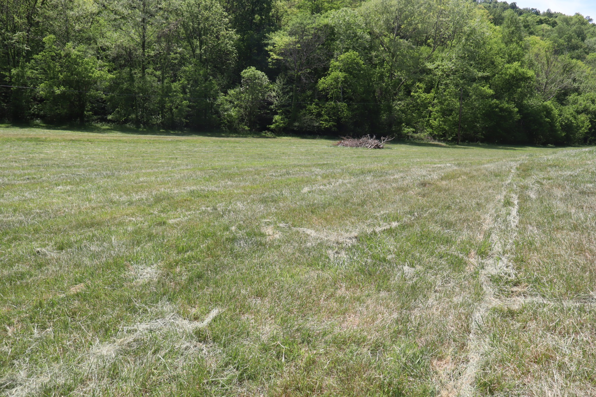 341 Pumpkin Hollow Road Liberty, TN 37095 - Photo 6 of 59