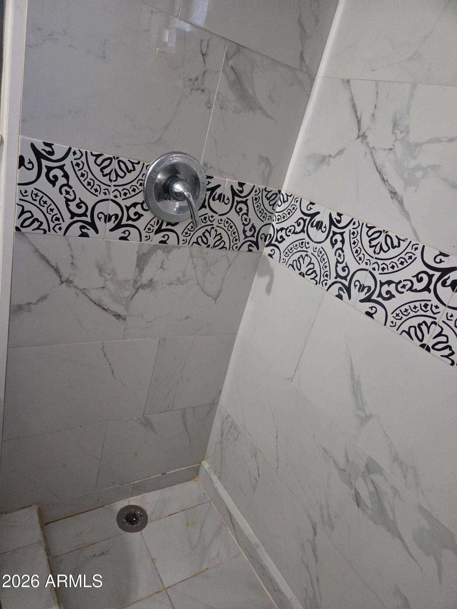 11930 West River Road El Mirage, AZ 85335 - Photo 6 of 17 hall shower