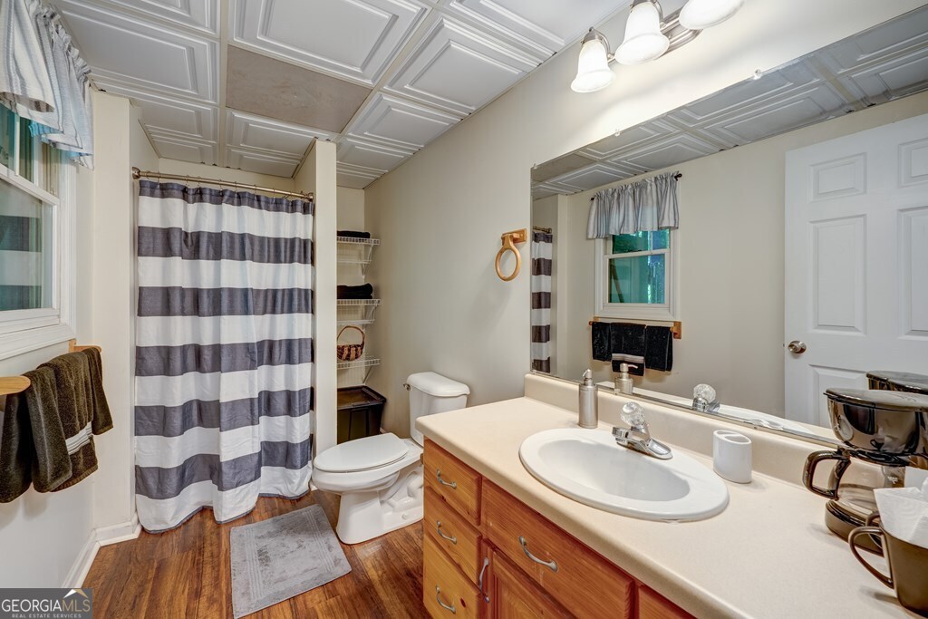 154 Rhapsody Circle Ellijay, GA 30540 - Photo 35 of 64 a bathroom with a sink toilet a mirror and shower curtain