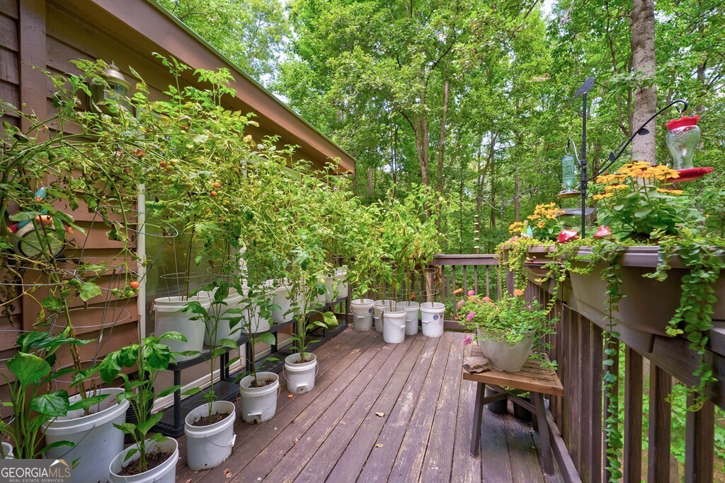 154 Rhapsody Circle Ellijay, GA 30540 - Photo 39 of 64 a backyard of a house with lots of green space and a fountain