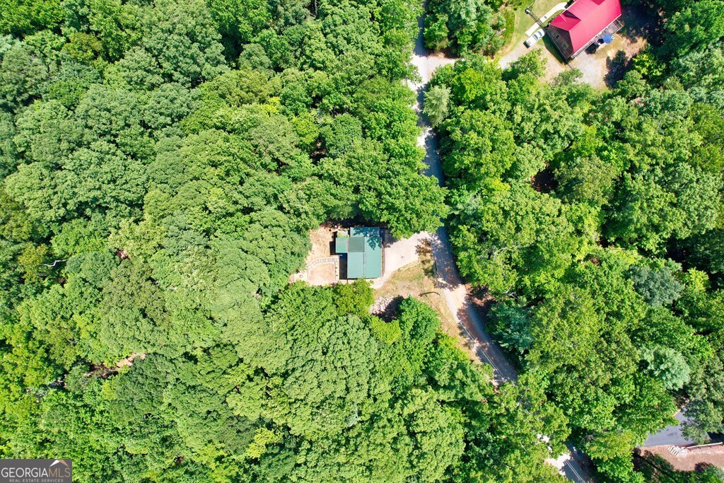 154 Rhapsody Circle Ellijay, GA 30540 - Photo 52 of 64