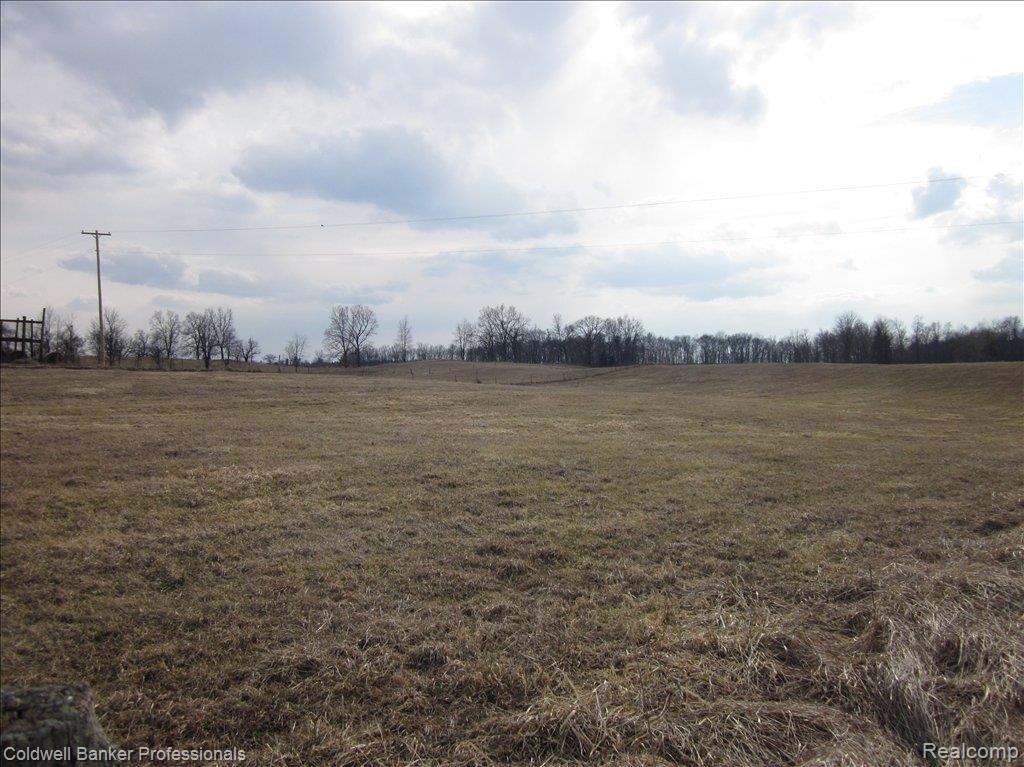 2859 Hayes Road Chelsea, MI 48118 - Photo 9 of 9 vacant land
