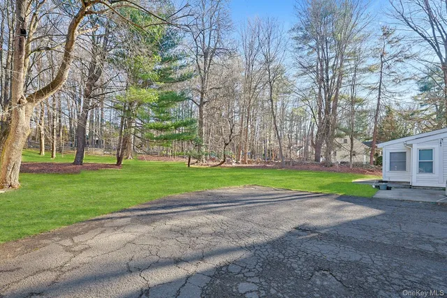 a view of road and trees