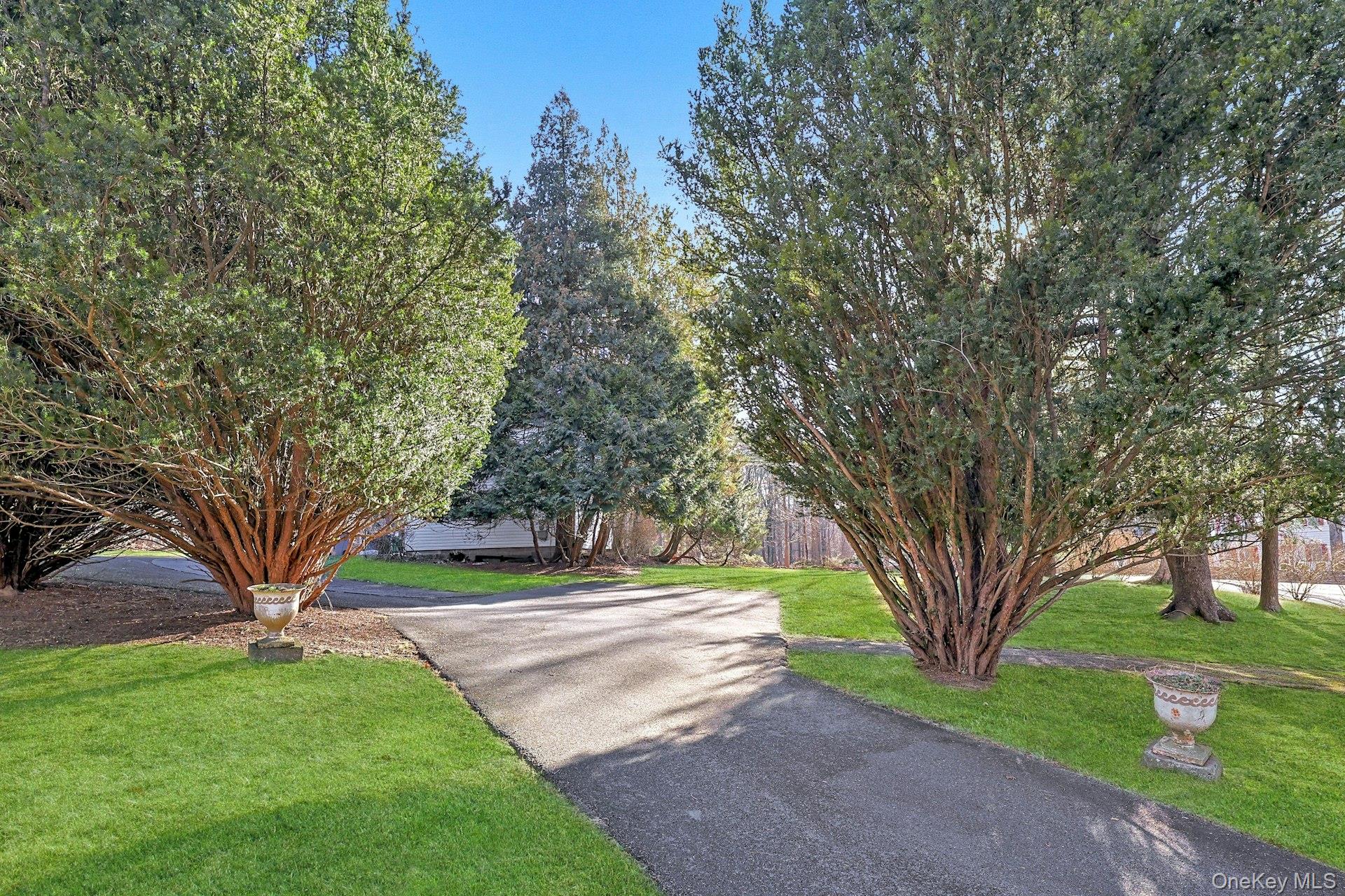 46 Mile Road Montebello, NY 10901 - Photo 25 of 27 a view of a park with large trees