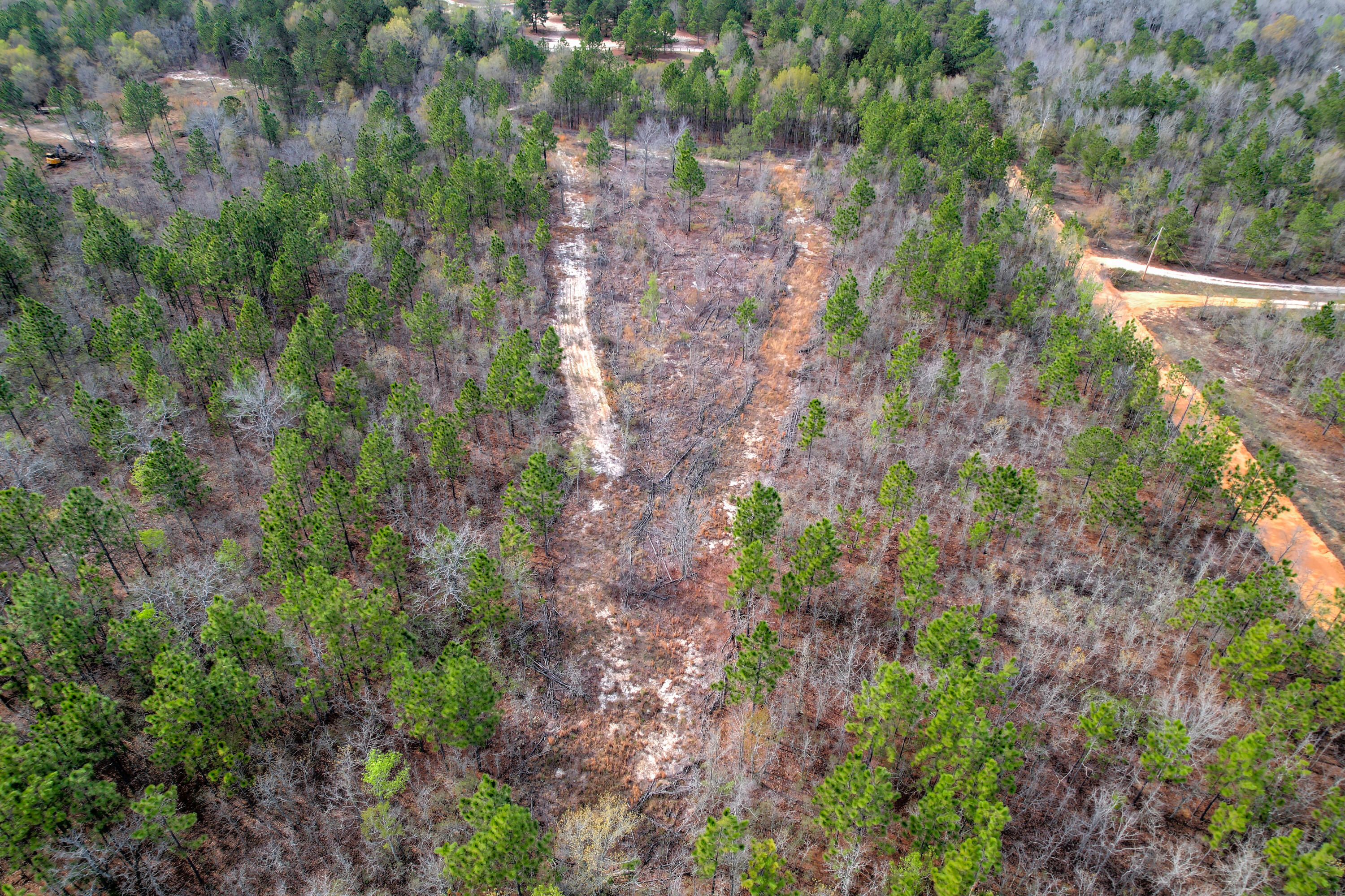 11-acres North 11-acres N Windsor Road Windsor, SC 29856 - Photo 12 of 16