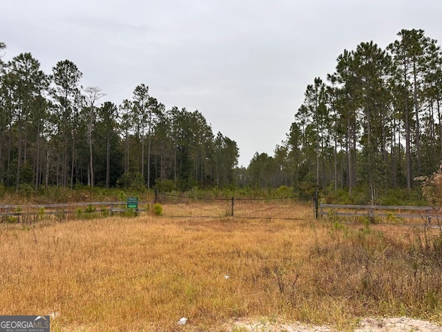 833 Barber Branch Road St. George, GA 31562 - Photo 1 of 1 a view of outdoor space with trees