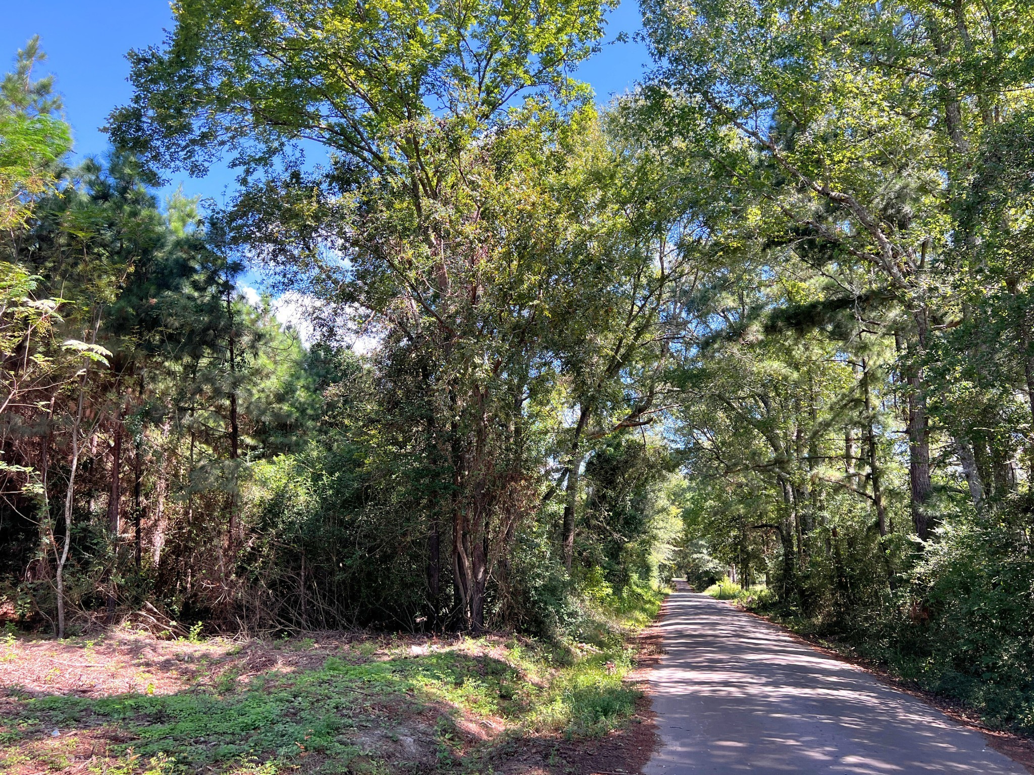 3 Eugene Walker Road Huntington, TX 75949 - Photo 11 of 17 a view of outdoor space and yard