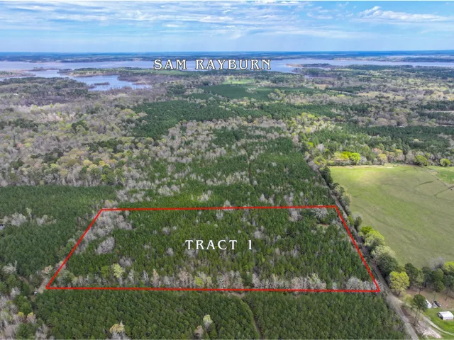 a view of city and ocean