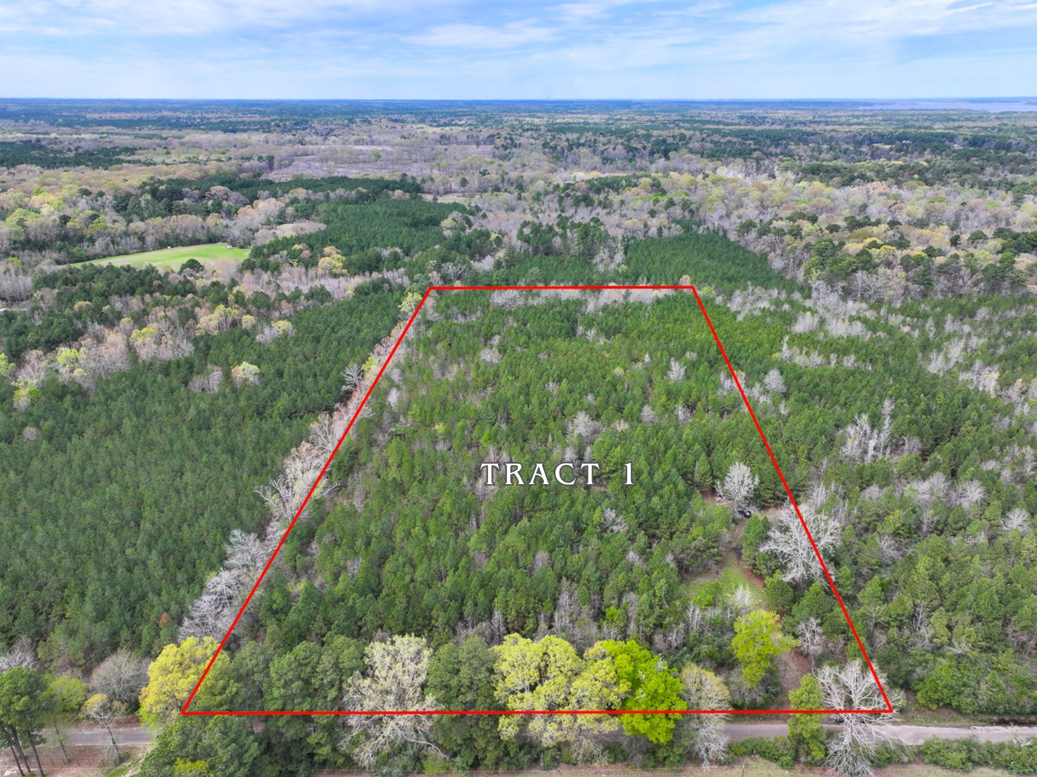 3 Eugene Walker Road Huntington, TX 75949 - Photo 13 of 17 a view of a city