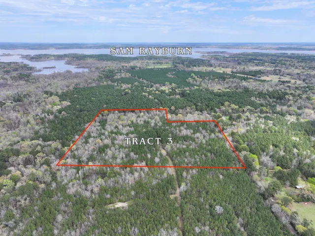 $169,000 | 3 Eugene Walker Road, Huntington, TX 75949