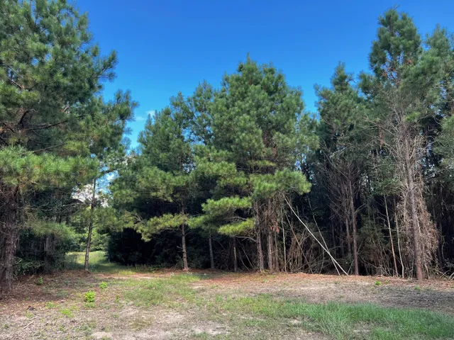 a view of house with trees in the background