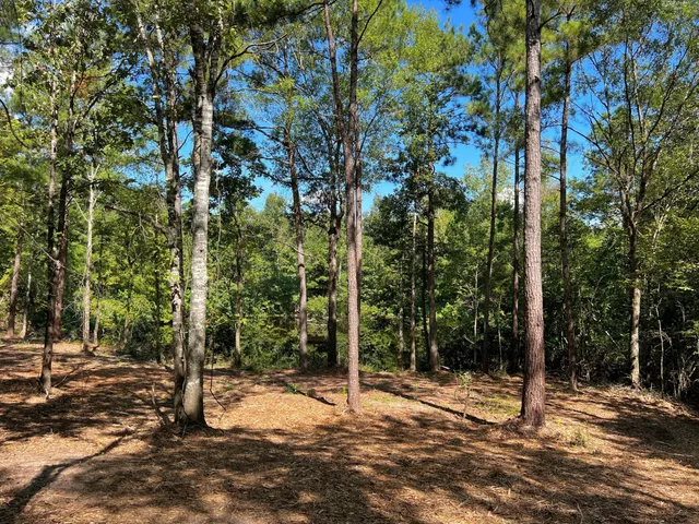 a house with trees in front of it