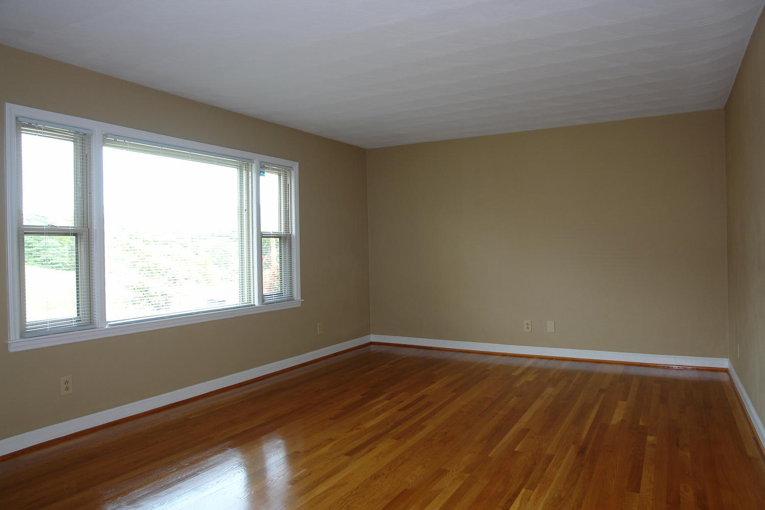 1520 West Ruritan Road Roanoke, VA 24012 - Photo 13 of 28 1520 W Ruritan Rd Roanoke VA-large-013-1