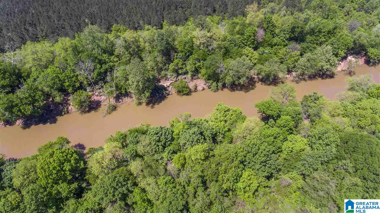 1720 Ponderosa Road Hayden, AL 35079 - Photo 40 of 45