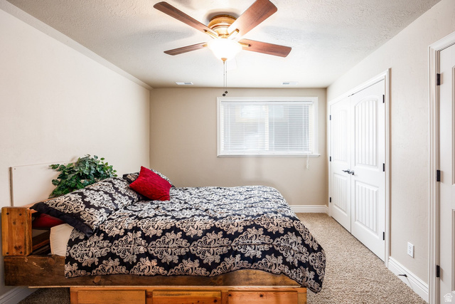 258 Red Leaf Drive Draper, UT 84020 - Photo 21 of 53