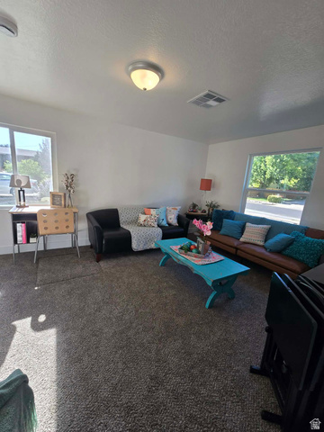 259 14th Street Ogden, UT 84404 - Photo 5 of 21 Living space featuring textured carpet flooring, white walls, and two large windows