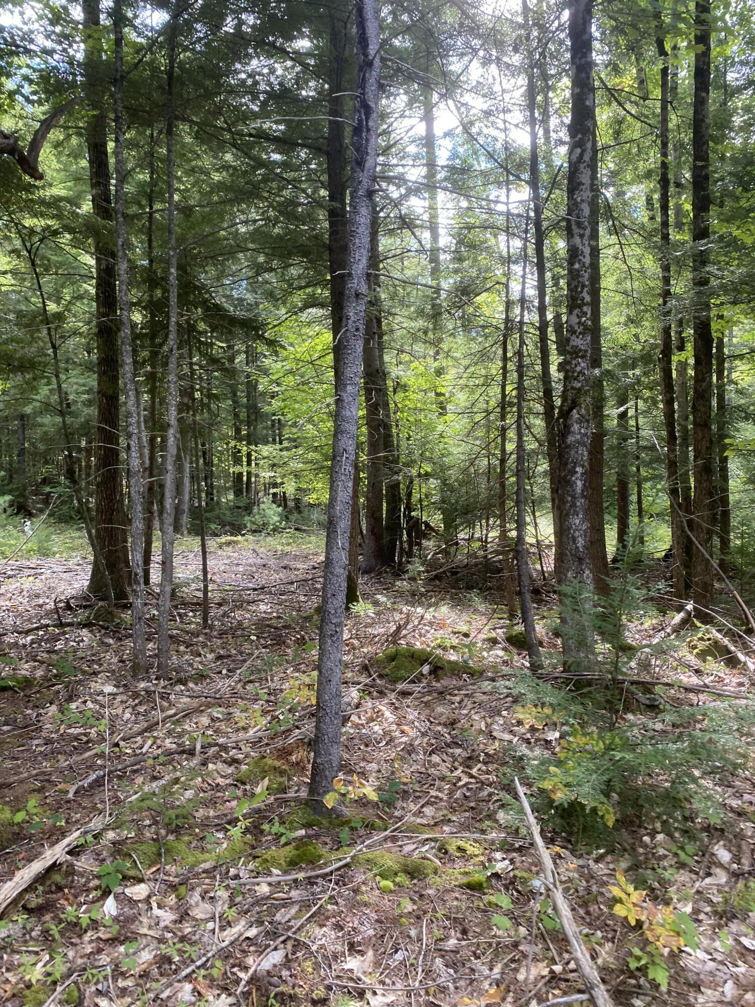 Tbd Abi Road Otisfield, ME 04270 - Photo 8 of 14 IMG_4565