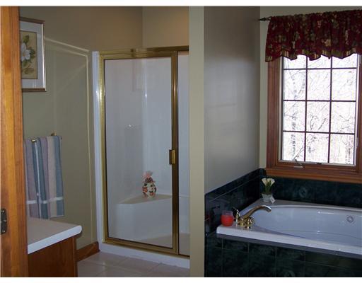355 Ritter Road South Sewickley, PA 15143 - Photo 13 of 18 Master Bath/Spa.