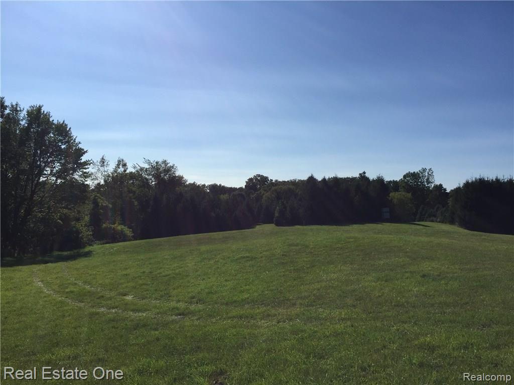 11093 Rattalee Lake Road Davisburg, MI 48350 - Photo 16 of 20