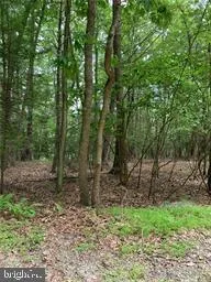 $23,000 | Pioneer Road, Kunkletown, PA 18058