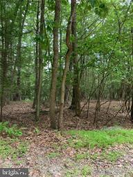 Pioneer Road Kunkletown, PA 18058 - Photo 2 of 12