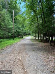 Pioneer Road Kunkletown, PA 18058 - Photo 4 of 12