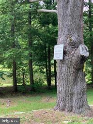 Pioneer Road Kunkletown, PA 18058 - Photo 8 of 12