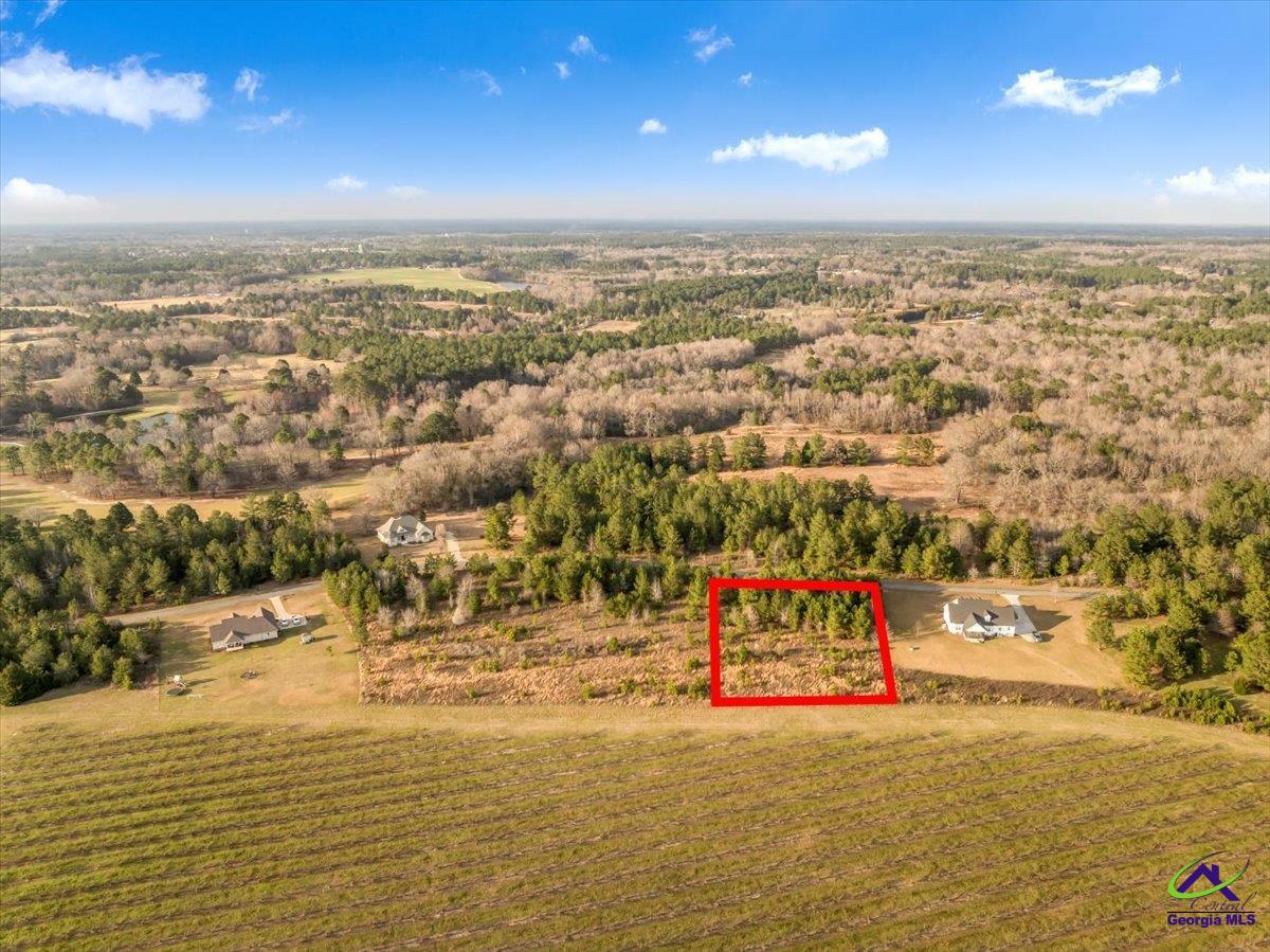 0 Woodland Trail Road Cochran, GA 31014 - Photo 3 of 20