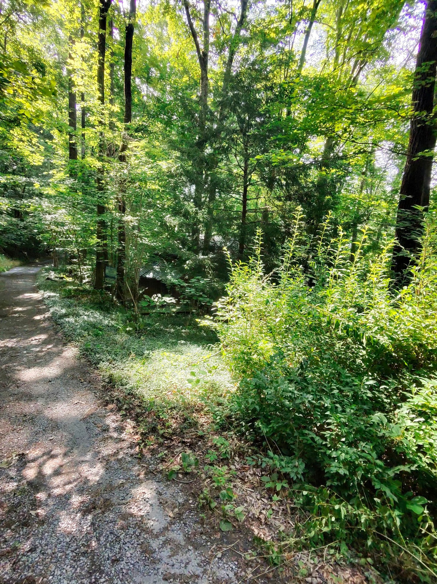 2450 Ponder Road Smithville, TN 37166 - Photo 3 of 11