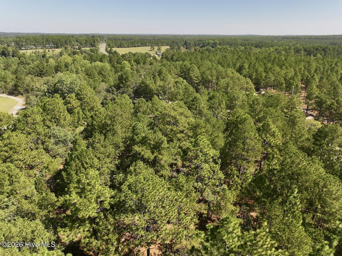 Lot 12 Marks Road Cameron, NC 28326 - Photo 10 of 24 8