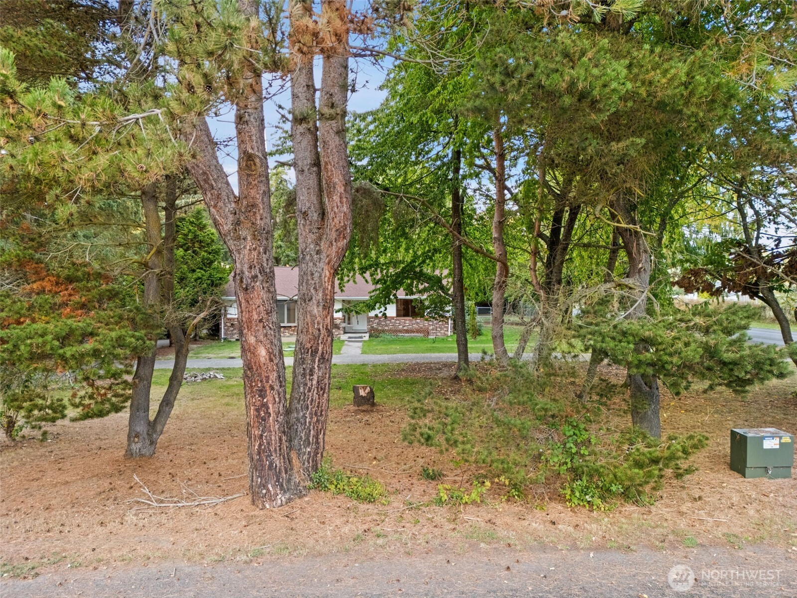 110 Marchbanks Road Sequim, WA 98382 - Photo 28 of 35 a backyard of a house with plants and large trees