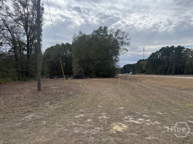 287 Wallace Drive Springfield, GA 31329 - Photo 2 of 4