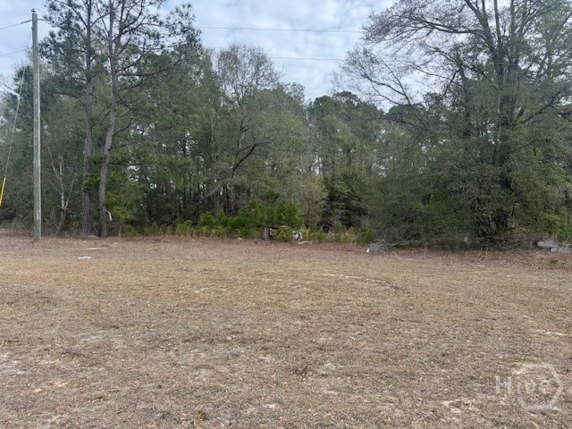 287 Wallace Drive Springfield, GA 31329 - Photo 3 of 4