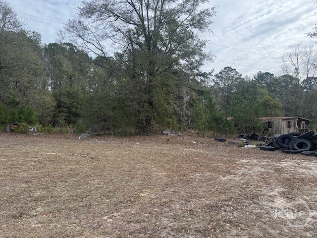 287 Wallace Drive Springfield, GA 31329 - Photo 4 of 4