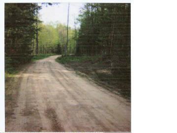 Blue Road Baraga, MI 49908 - Photo 2 of 5 Additional Photo