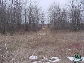 7131 Murray Road Brown City, MI 48416 - Photo 3 of 3 909379-2.JPG