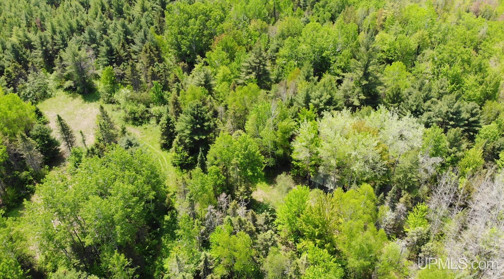 1 Larson Road Bruce Crossing, MI 49912 - Photo 1 of 34