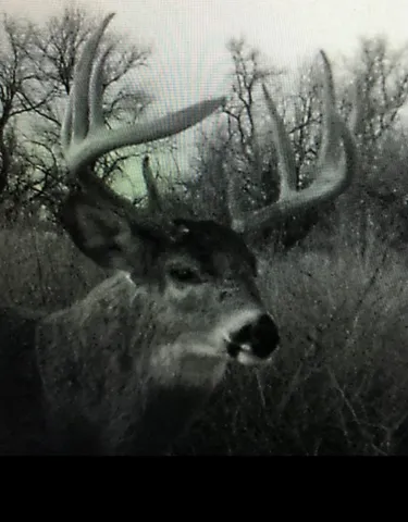 $1,298,500 | 10209 South Hertzler Road, Sedgwick, KS 67135