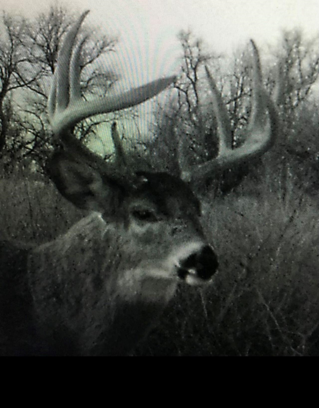 10209 South Hertzler Road Sedgwick, KS 67135 - Photo 34 of 36