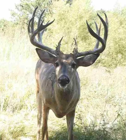 $1,298,500 | 10209 South Hertzler Road, Sedgwick, KS 67135