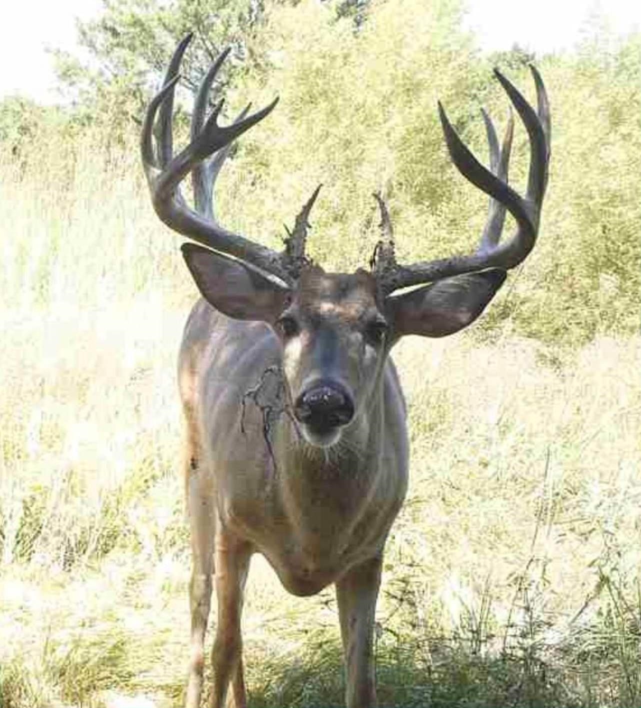 10209 South Hertzler Road Sedgwick, KS 67135 - Photo 35 of 36